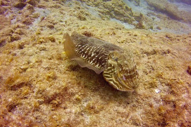 discover-scuba-diving-first-step-to-your-certification-2