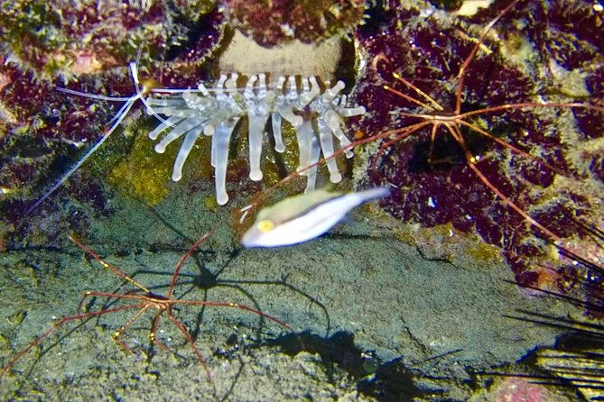 discover-scuba-diving-first-step-to-your-certification-2