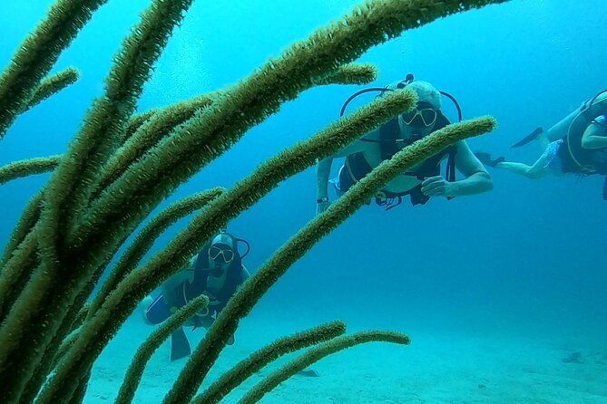 discover-scuba-diving-for-beginners-in-san-juan
