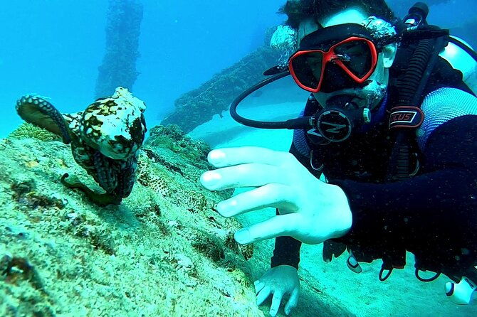 discover-scuba-diving-for-beginners-in-san-juan