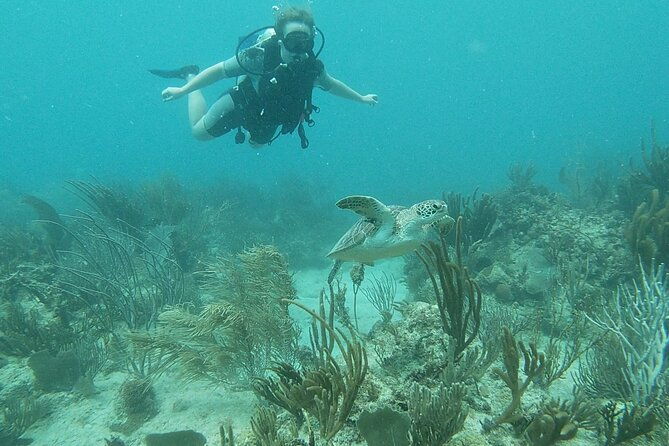 discover-scuba-diving-for-beginners-in-san-juan