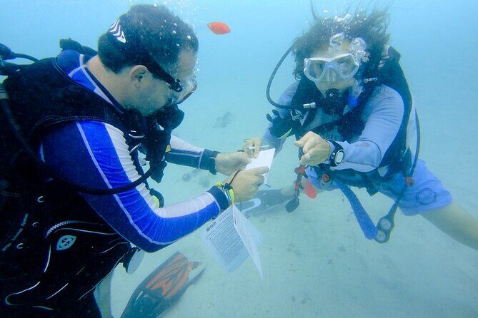 Discover Scuba Diving from a Fishing Village - The Sum Up