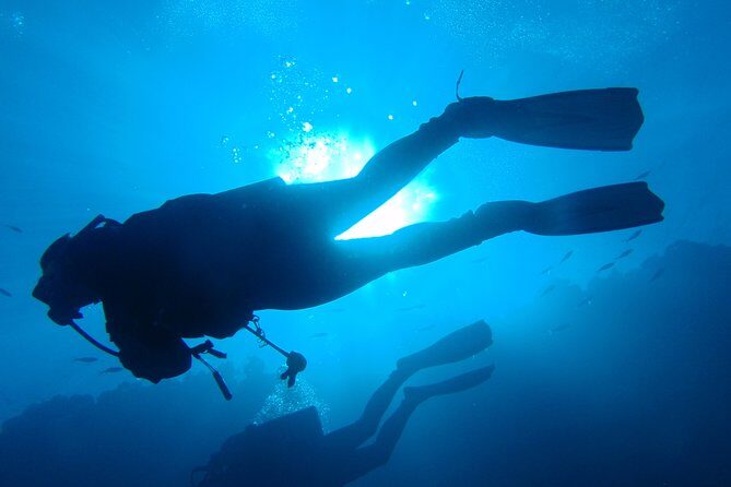 Discover Scuba Diving from the Boot - Final Thoughts: Is It Worth It?
