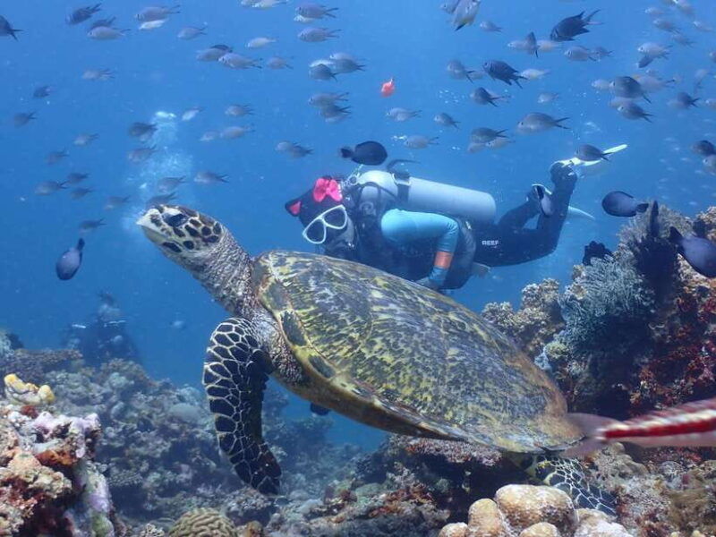 discover-scuba-diving-in-boracay