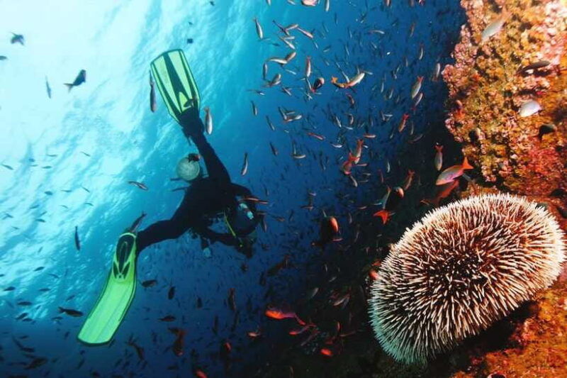 discover-scuba-diving-in-boracay