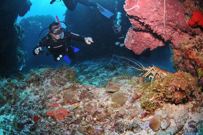 discover-scuba-diving-in-buzios