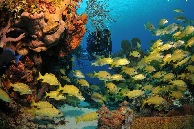 discover-scuba-diving-in-buzios