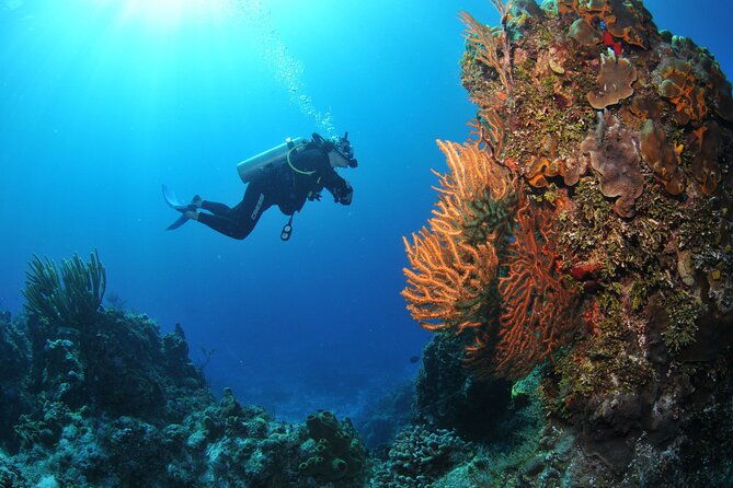 discover-scuba-diving-in-buzios