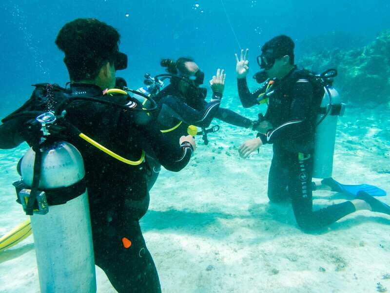 Discover Scuba Diving in Cozumel 2 Tanks - What to Expect from This Guided Underwater Experience
