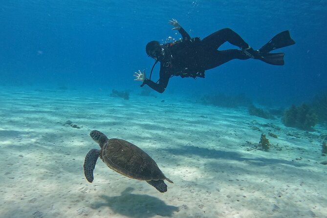 discover-scuba-diving-in-divers-paradise