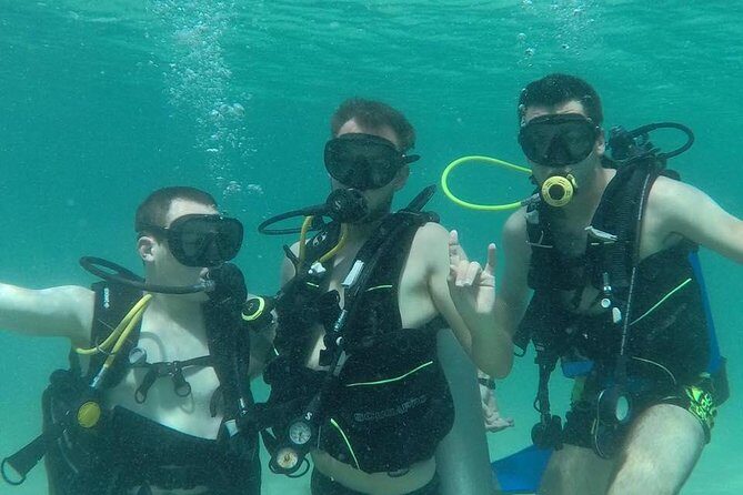 Discover Scuba Diving in Dubai - Discover Scuba Diving in Dubai: A Complete Guide