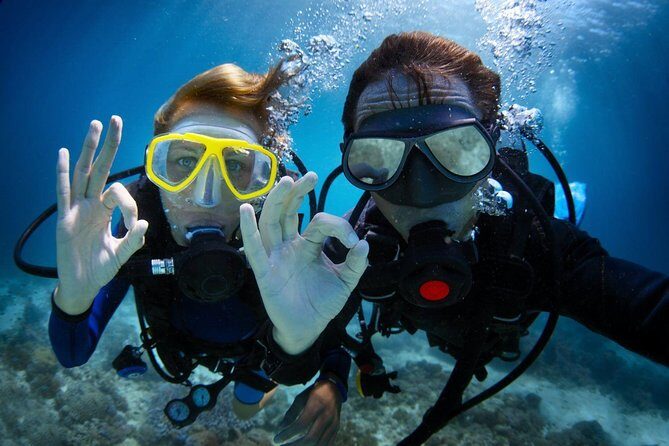 Discover Scuba Diving in Dubai - Key Points