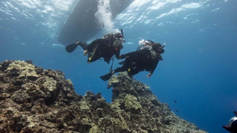 DISCOVER SCUBA DIVING IN LEMORNE with EasydiveMauritius - The Itinerary Breakdown