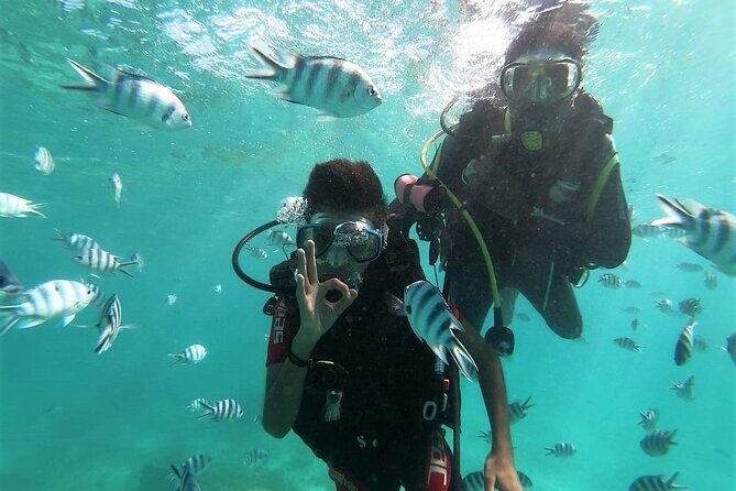 Discover Scuba Diving in Mauritius - Starting with a quick overview