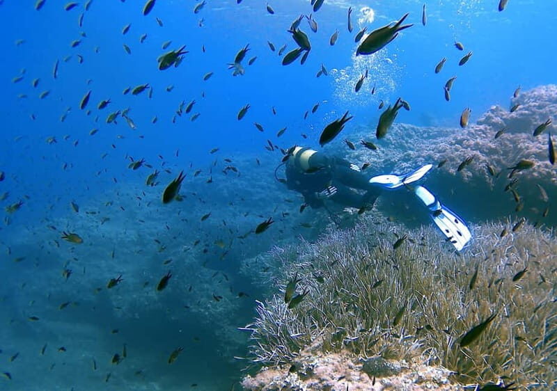 Discover Scuba Diving in Menorca: your first underwater adventure - Authentic Experiences from Reviewers