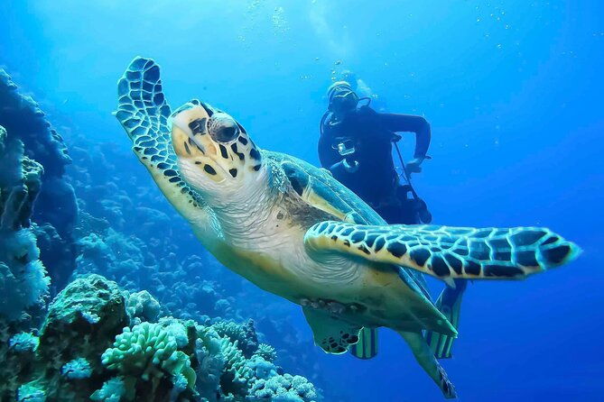 discover-scuba-diving-in-montego-bay-two-tank-first-time-diving