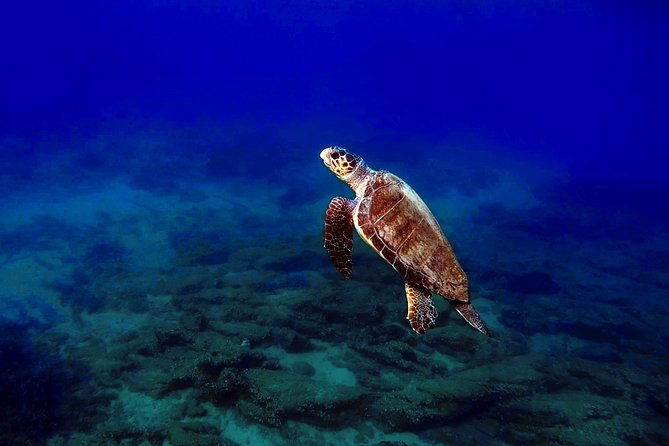 discover-scuba-diving-in-naxos-greece