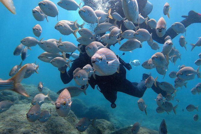 Discover Scuba Diving in Puerto de Mogan - The Experience: What to Expect from Start to Finish