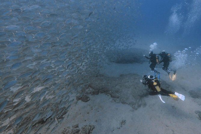 Discover Scuba Diving in Puerto de Mogan - Frequently Asked Questions