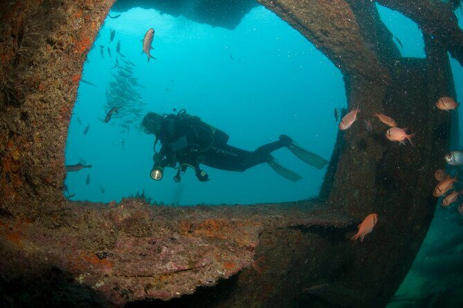 Discover Scuba Diving in Sal - What to Expect from Your Discover Scuba Diving Adventure
