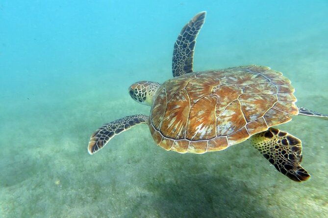 discover-scuba-diving-in-san-juan