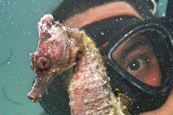 discover-scuba-diving-in-san-juan