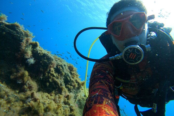 discover-scuba-diving-in-tenerife