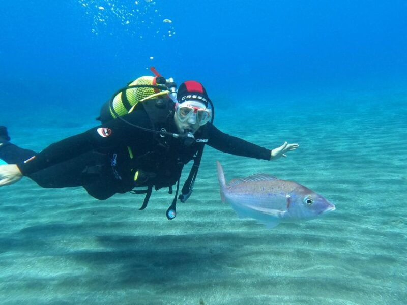 discover-scuba-diving-in-the-ocean-snacks-included