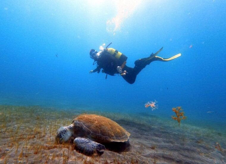 discover-scuba-diving-in-the-ocean-snacks-included