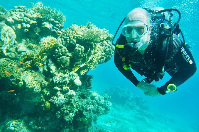 Discover Scuba Diving - Indroductory Dives - The Value of a Private, Guided Intro