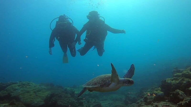 Discover Scuba Diving Program for Beginners - The Open Water Dive Experience
