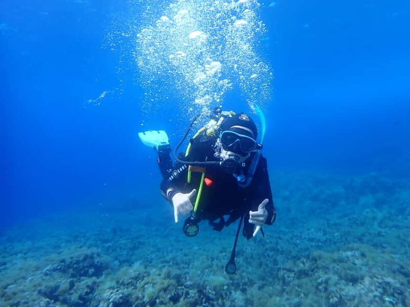 Discover Scuba Diving, scuba diving for begginers!! - The Sum Up: Who Is This Tour Best For?