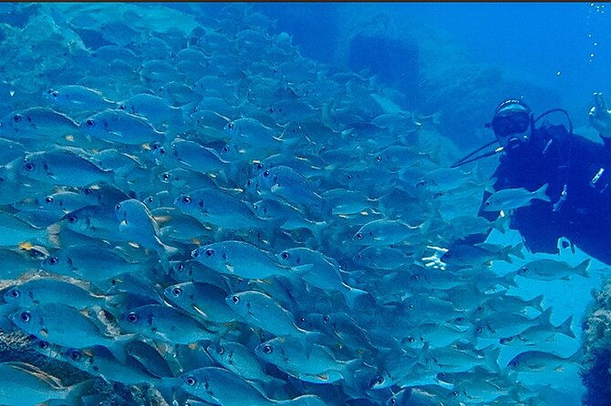discover-scuba-diving-tenerife-photos-and-videos-included