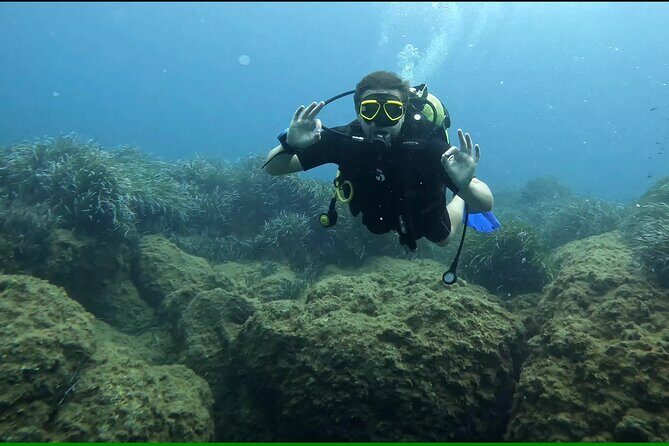 Discover SCUBA Diving with Pissouri Bay Divers - An Overview of the Pissouri Bay Divers Experience