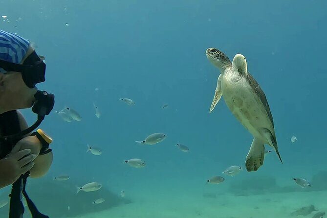 Discover SCUBA Diving with Pissouri Bay Divers - FAQ
