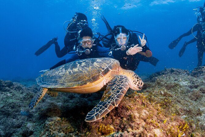 Discover Scuba Diving With Sea Turtles  Xiaoliuqiu, Taiwan - Authentic Insights from Past Travelers