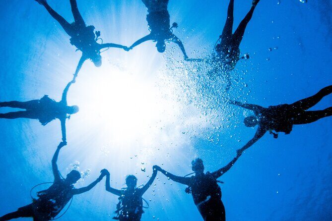 Discover Scuba Diving With Sea Turtles  Xiaoliuqiu, Taiwan - Value and Pricing Consideration