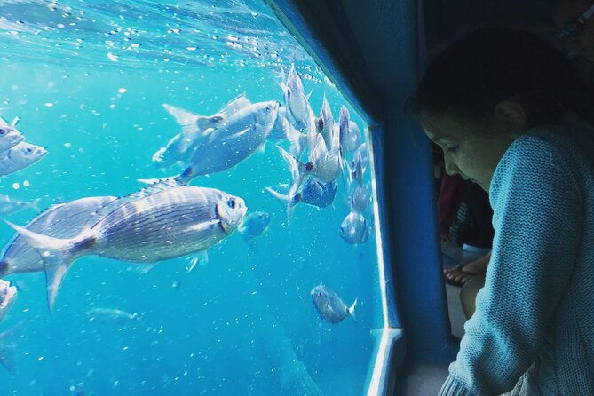 discover-secrets-of-the-sea-swimming-cave-and-underwater-vision