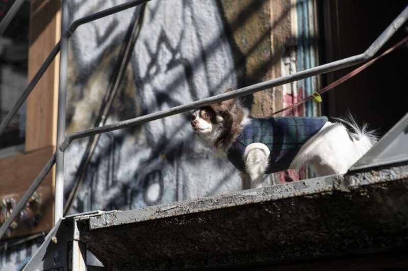 discover-shimokitazawa-tokyos-bohemian-neighbourhood