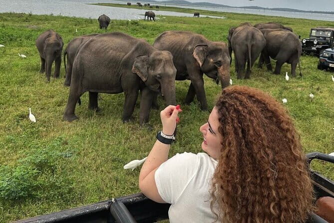 Discover Sigiriya Dambulla and Minneriya Park in Day Tour - Key Points