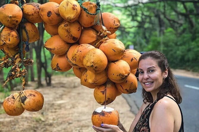 Discover Sigiriya Dambulla and Minneriya Park in Day Tour - The Sum Up