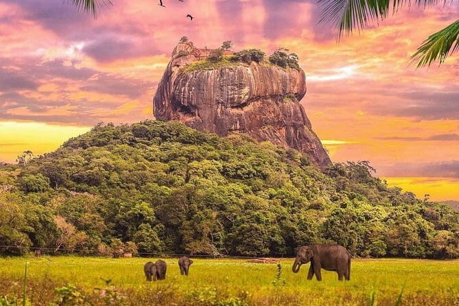 Discover Sigiriya Dambulla and Minneriya Park in Day Tour - FAQ