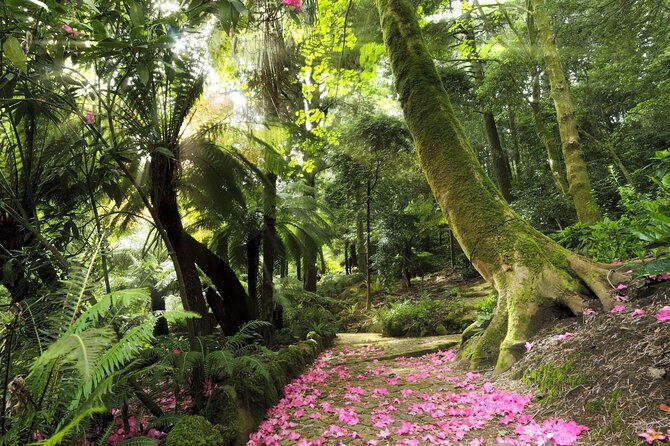 discover-sintras-hidden-gems-on-our-walking-tour-2