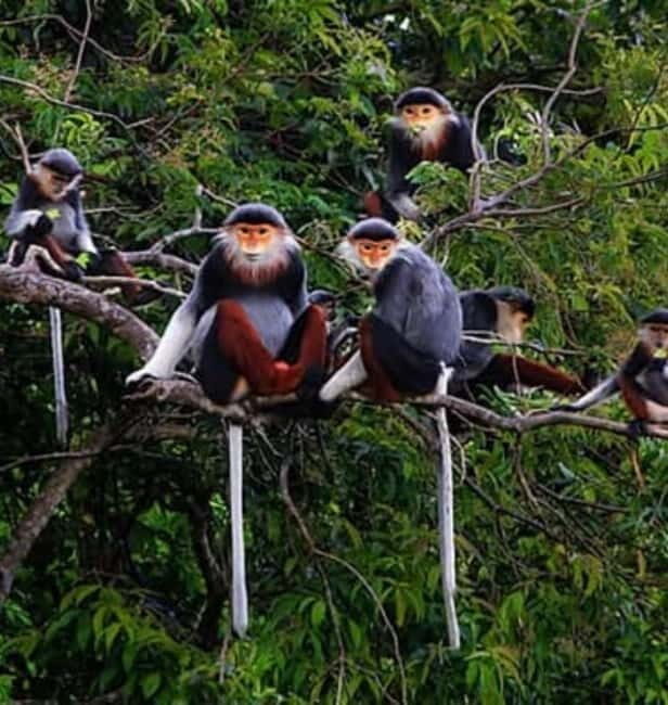 Discover Son Tra: Legendary US Army Jeep Adventure Tour - Final Thoughts