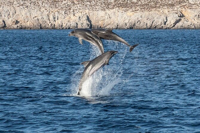 discover-south-naxos-coast-day-cruise