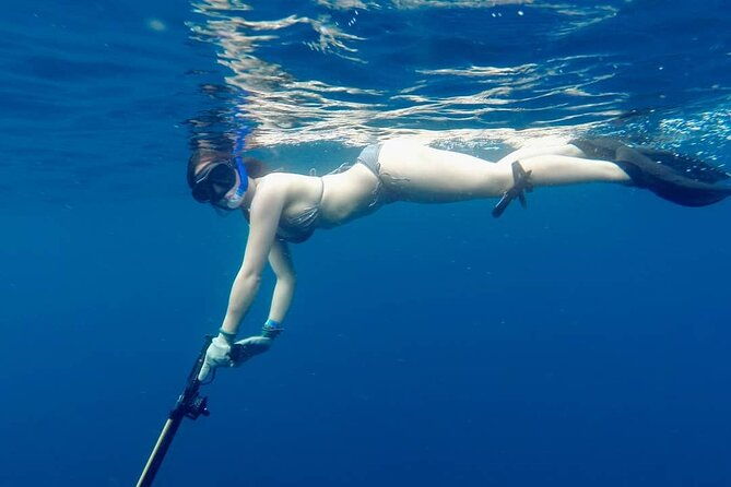 discover-spearfishing-course