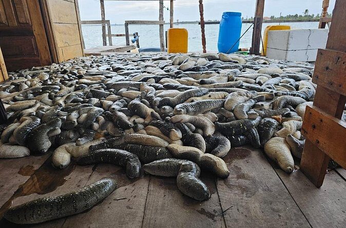 Discover Sri Lankas Unique Marine Farming Culture - Authenticity and Cultural Connection