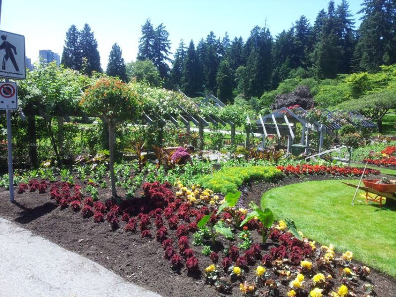 discover-stanley-park-with-a-smartphone-audio-walking-tour