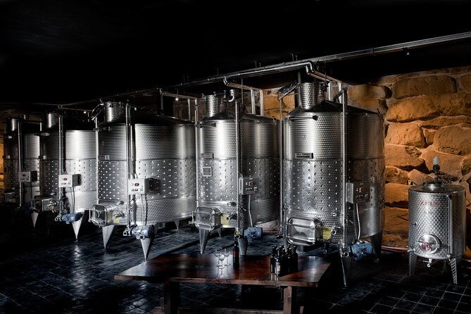 discover-sustainable-wines-in-a-guided-tour-and-tasting