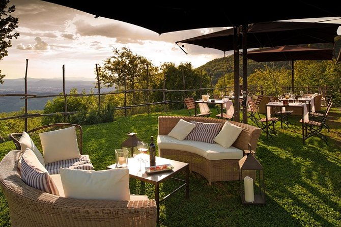 discover-sustainable-wines-in-a-guided-tour-and-tasting